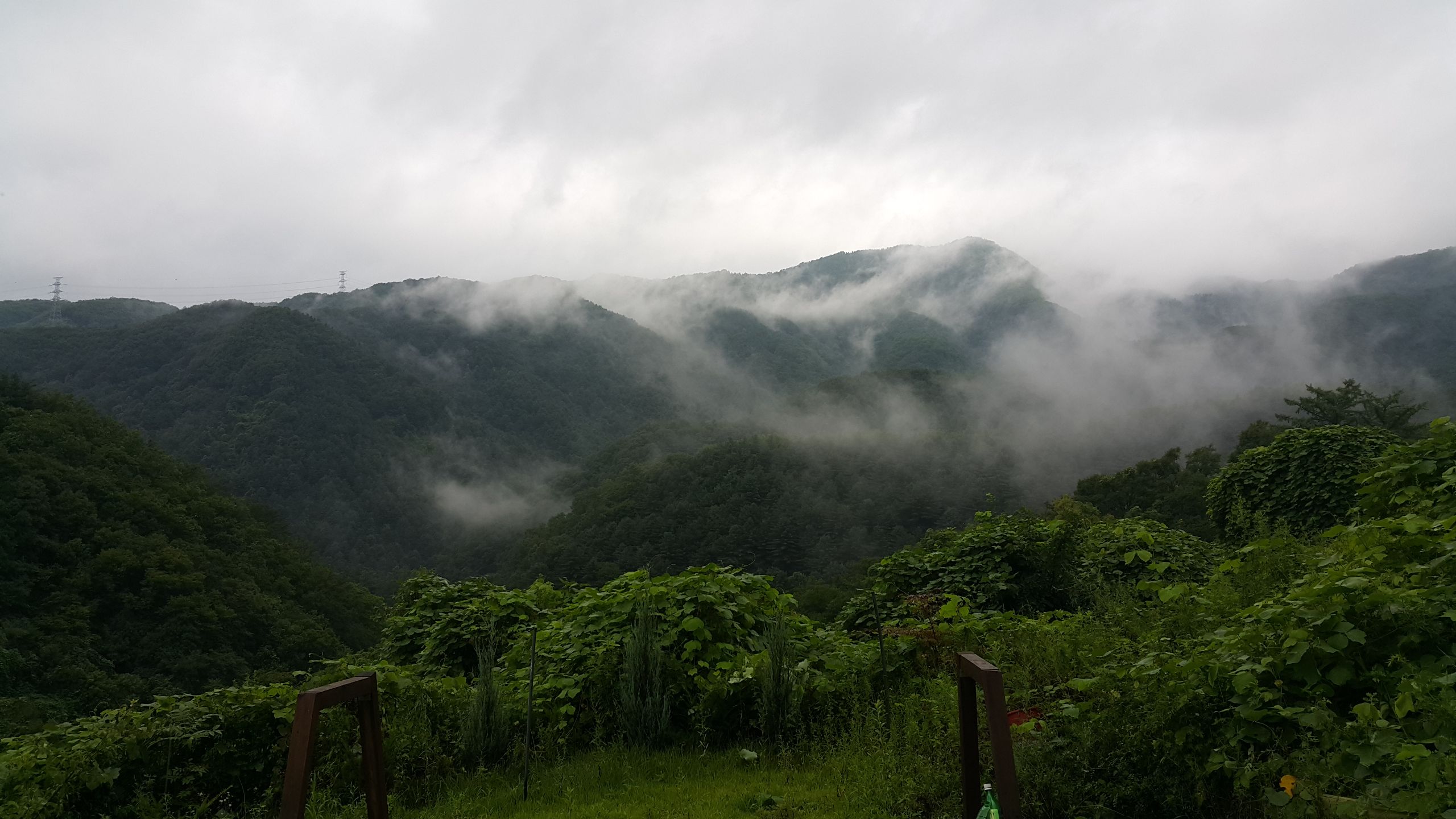 런치카페 전경 